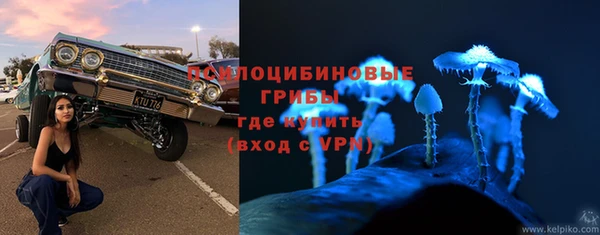 прущая мука Новоульяновск