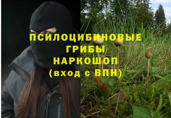 прущая мука Новоульяновск