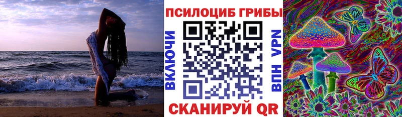 Псилоцибиновые грибы Psilocybine cubensis Новотитаровская